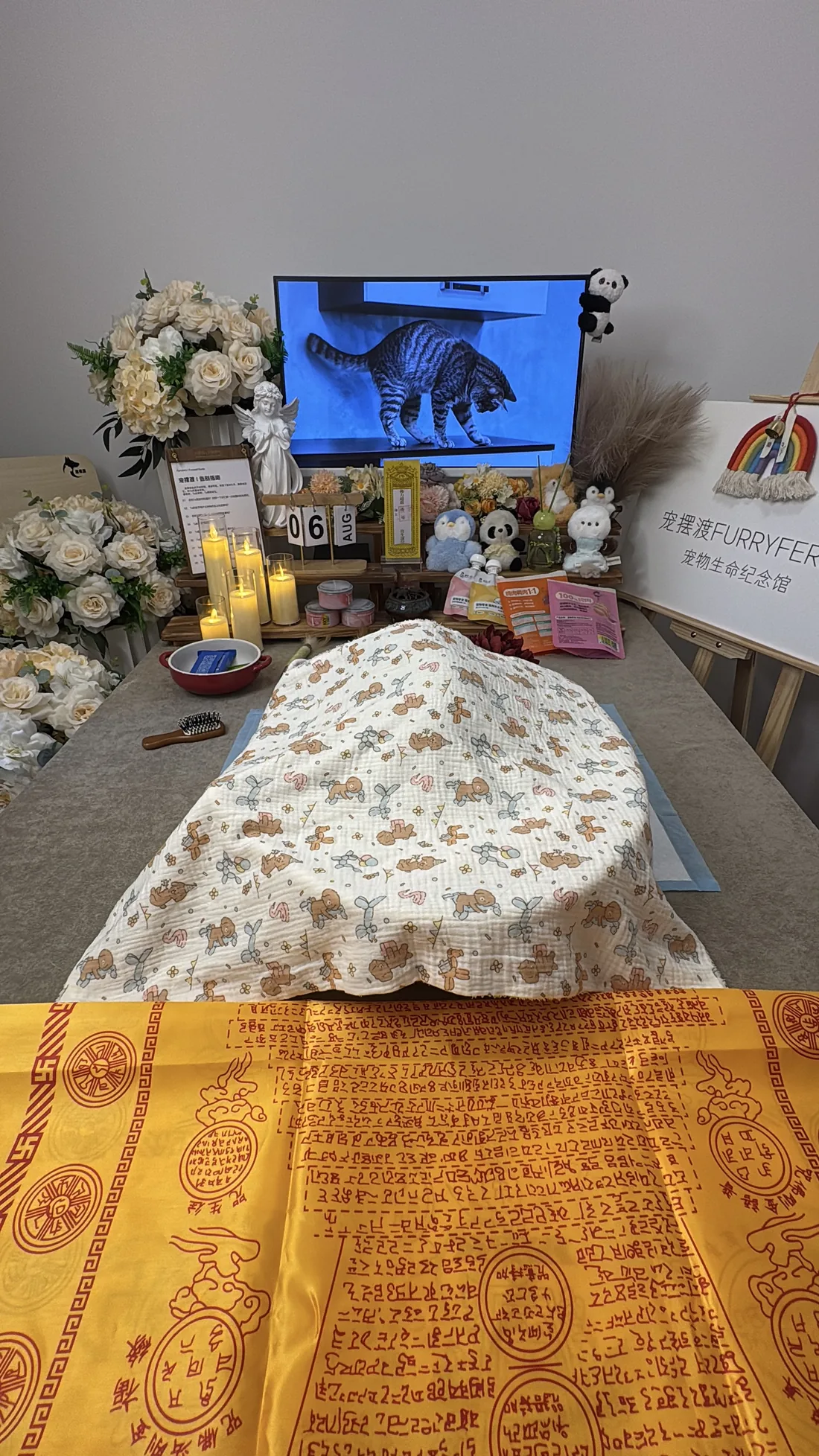 常州宠物告别仪式中的鲜花与纪念照片